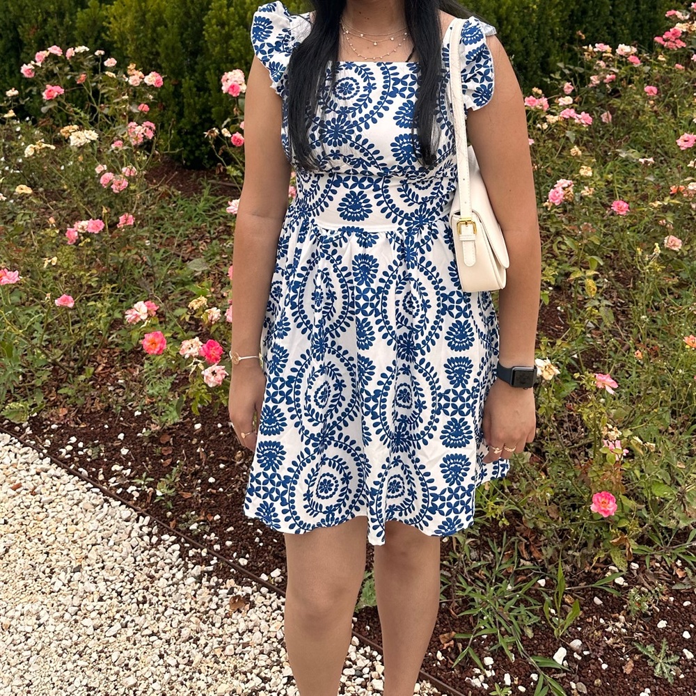 Blue and White Dress